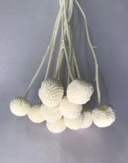 ألوان ثابتة وشكل قريب للطبيعي، مناسب للتنسيق، الهدايا، وتزيين الزوايا