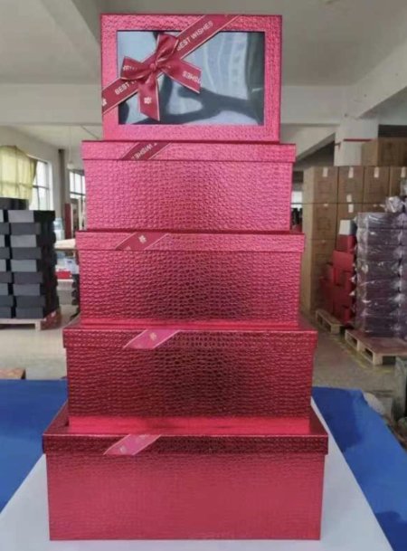 صندوق مستطيل غطاء شفاف خمس قطع حجم كبير